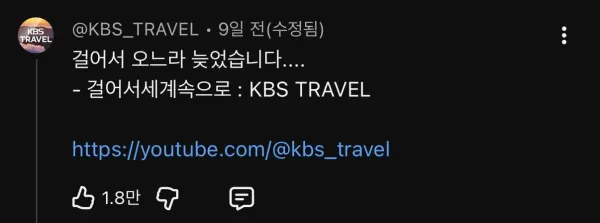 IMG_0911.jpeg 김선태 유튜브 댓글 근황