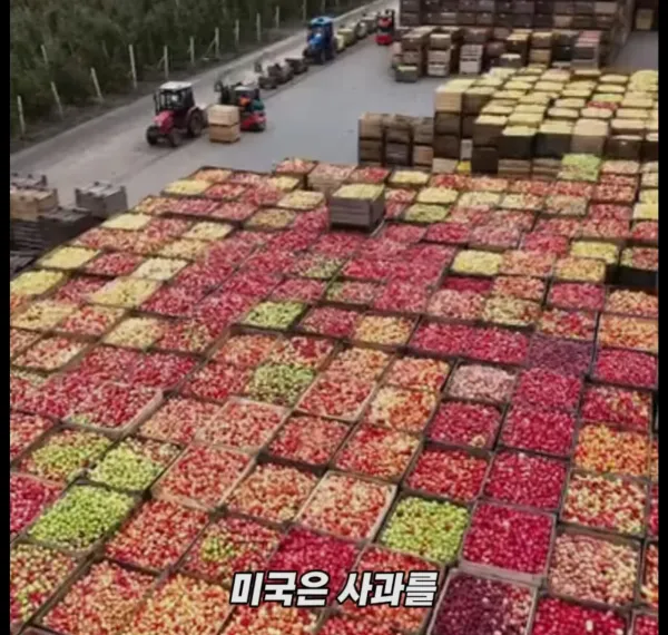 Screenshot_2026-03-02_205130.jpg 미국 사과가 1Kg 에 2000원대인 이유