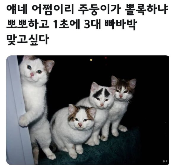 20260512170357_bUANECKxdW.png