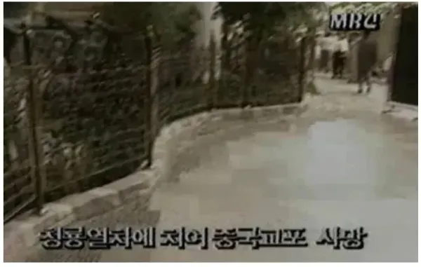 20260502143955_WdtaeBU32O.webp
