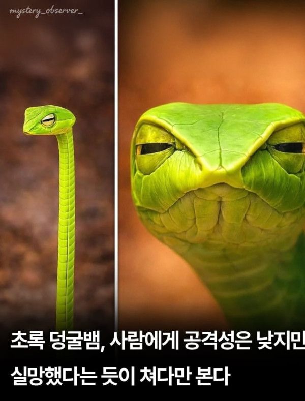 20260502143222_09WRuw1w4H.png