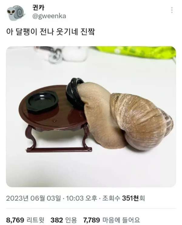 20260521104501_Rh68JZhqwI.webp