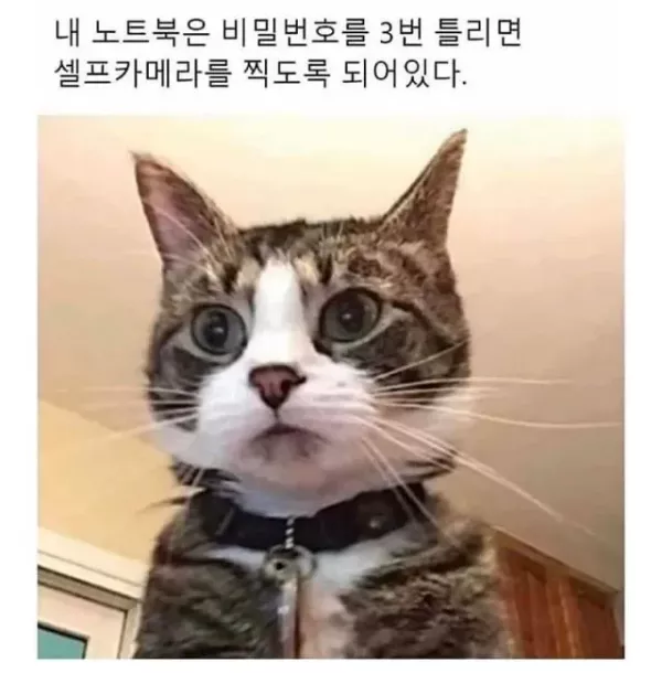 20260523084705_JRAUq1fdR3.webp