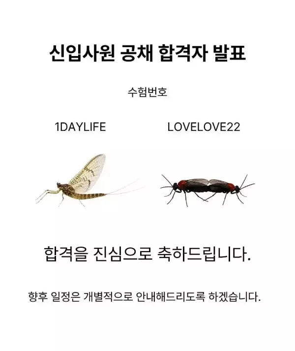 20260519145720_yuGuQ048pn.webp