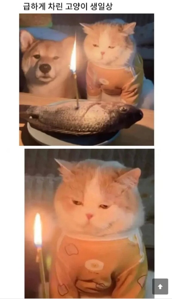 20260518111157_nqjuZljxni.jpeg