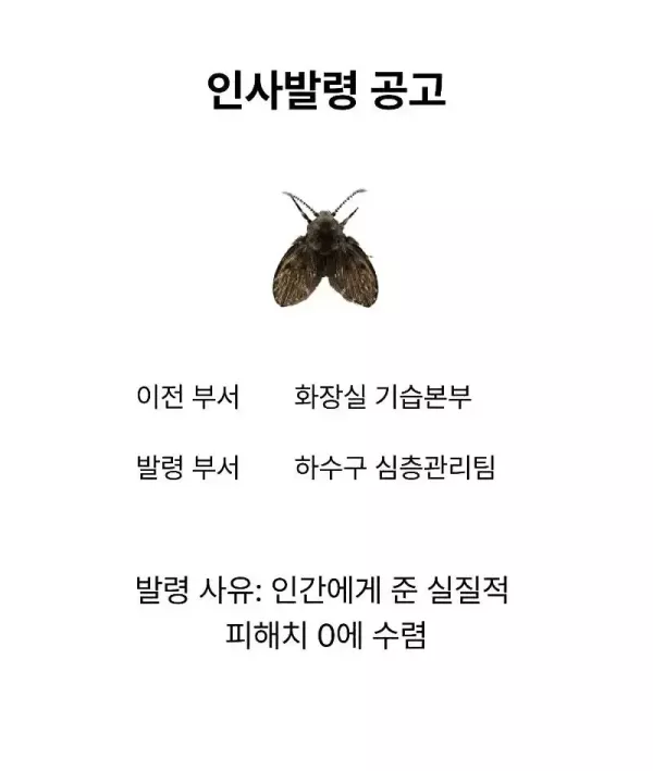 20260519145717_slgfK0iQCB.webp