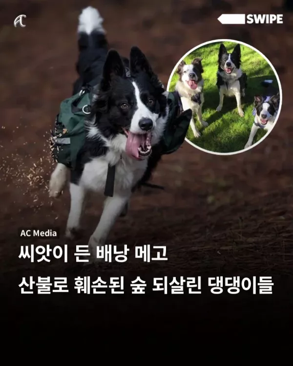 20260522100400_OW5nhNudF9.webp