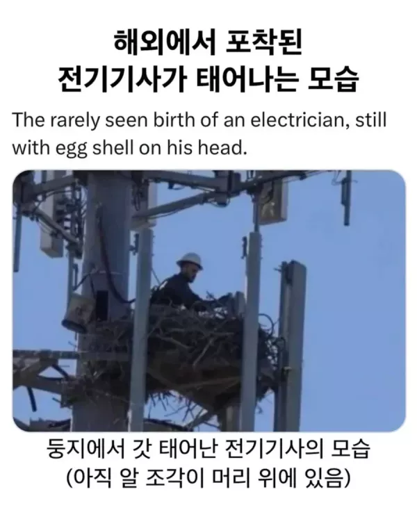 20260524093727_ZacQLyavBj.webp