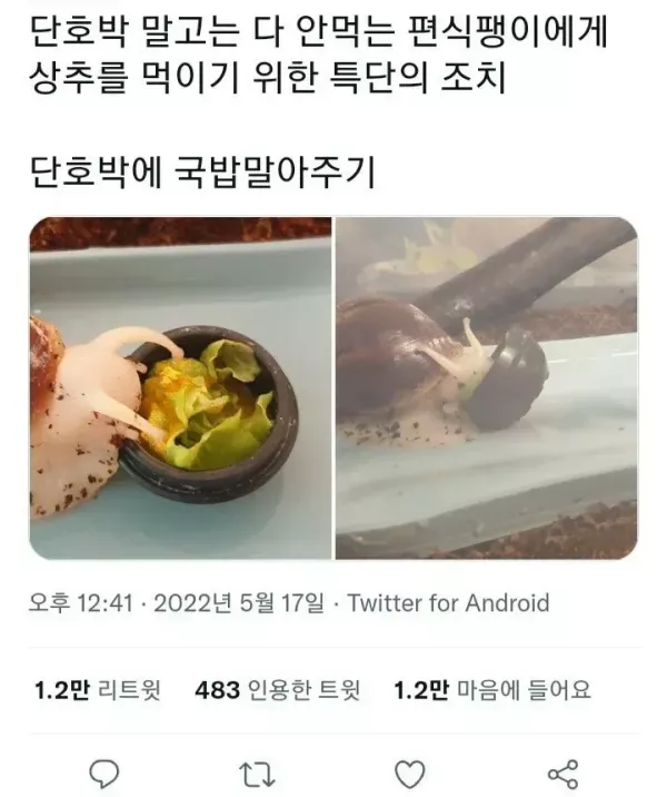 20260521104509_uV0kwDAOaf.webp