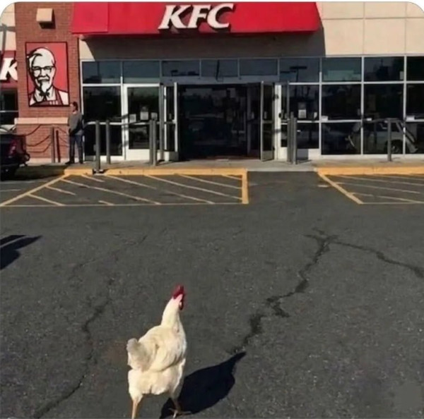 20260511191653_g7vrvXMcmu.png
