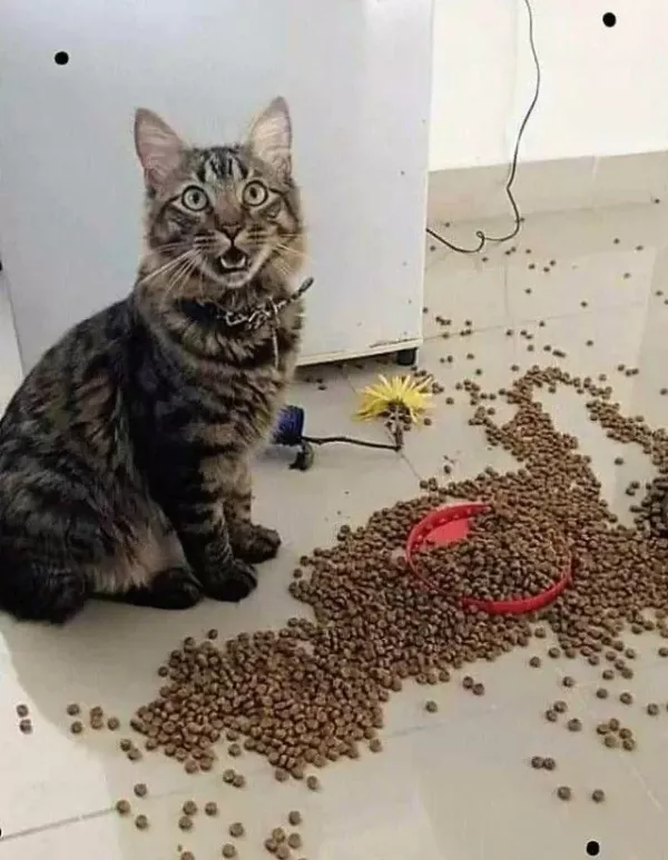 20260528173730_L38v6AvJg0.webp